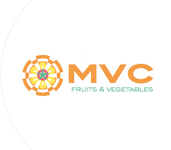 البورتفوليو > MVC